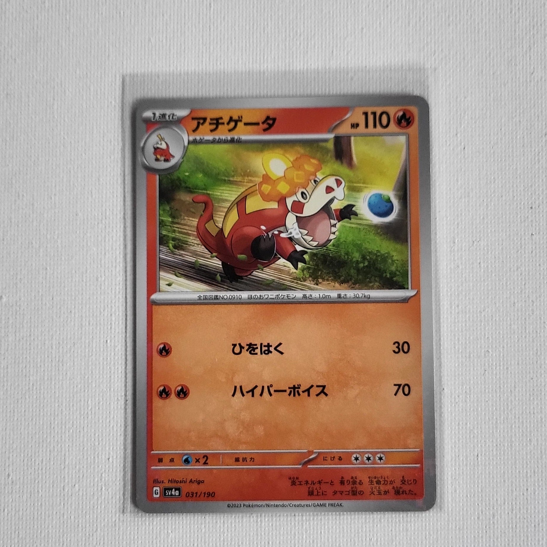 Crocalor – 031/190 – Pokémon