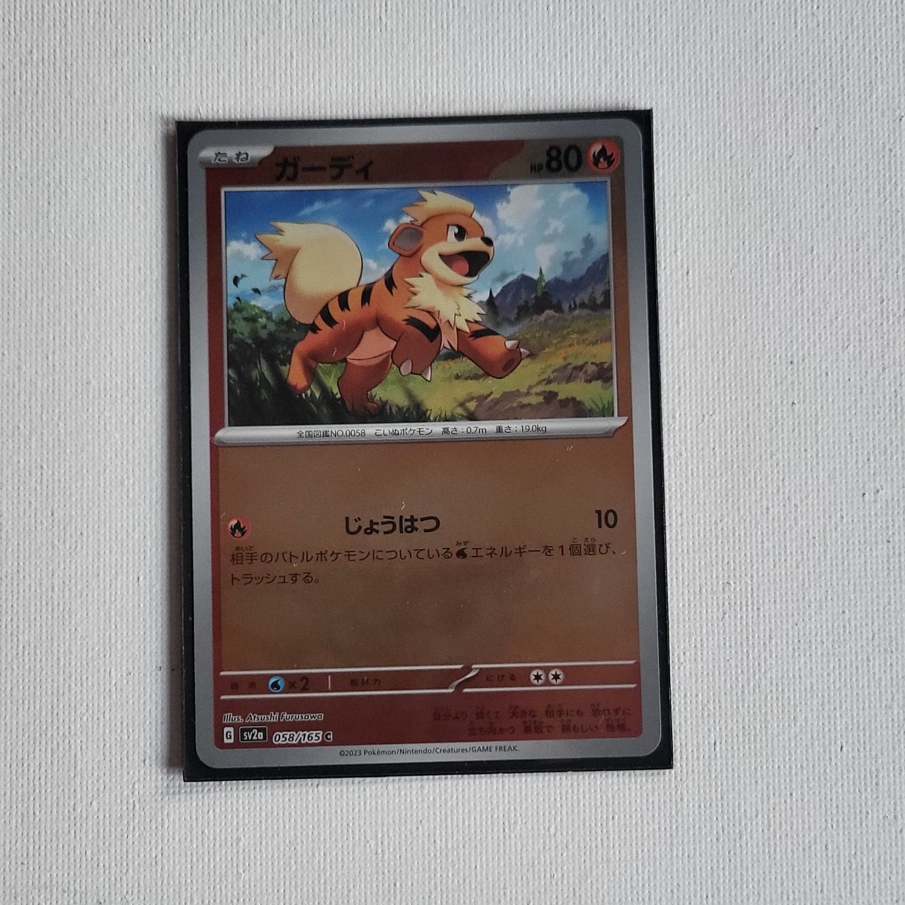 Growlithe – 058/165 – Pokémon